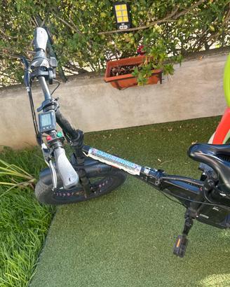 Bici elettriche
