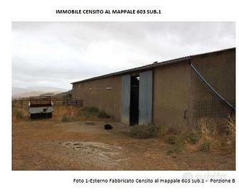 RGE 41/2006 Trib ENNA(EX NICOSIA) - LOTTO 5