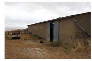 RGE 41/2006 Trib ENNA(EX NICOSIA) - LOTTO 5