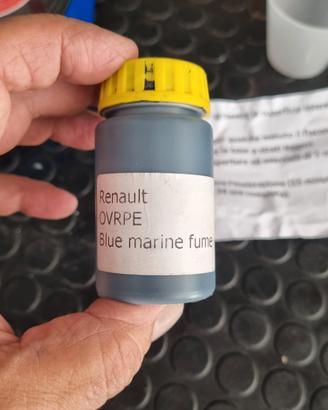 Vernice Renault blu marine fume'.