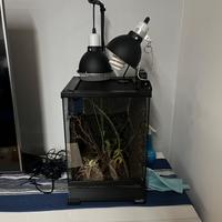 Terrario Gigan Terra in vetro (30x30x45) rettili
