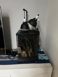 Terrario Gigan Terra in vetro (30x30x45) rettili