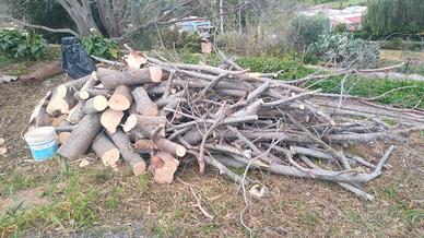 legna da ardere 