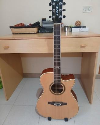 Chitarra acustica Eco est 1959