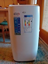 Condizionatore portatile ARGO MILUS PLUS 13000