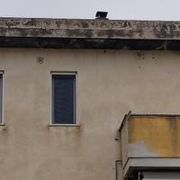 Elegante Appartamento