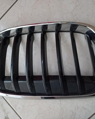 griglia anteriore BMW x1 f48 anno 2016