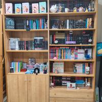 libreria con 2 ante e 2 cassetti 
