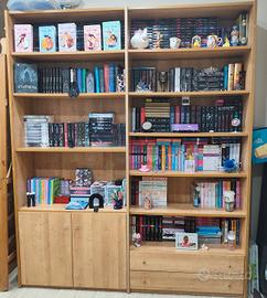 libreria con 2 ante e 2 cassetti 