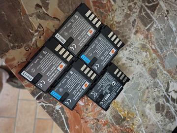5 batterie DMW-BLF19E + caricabatterie