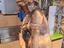 Immagine 5