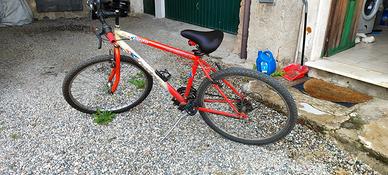MTB ruota 26