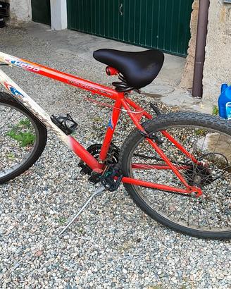 MTB ruota 26