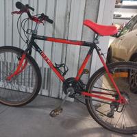 mountain bike silverstar