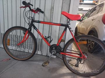 mountain bike silverstar