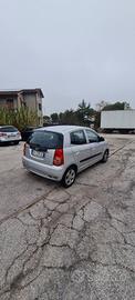 Kia Picanto neo patentati