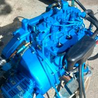 motore entrobordo Nanni diesel 3.90 h