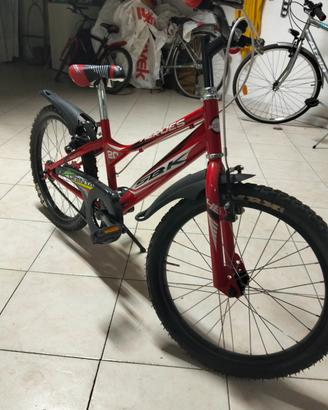 bicicletta