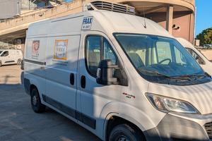 Ducato Frigo 2018