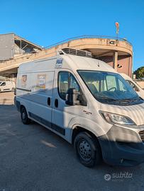Ducato Frigo 2018
