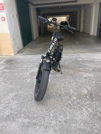 bicicletta elettrica