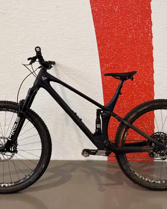 YT Izzo Trail XL full carbon custom