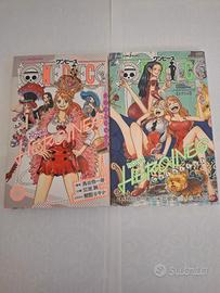 One Piece Novel Heroines _ Light Novel Japanese