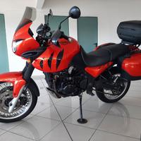 Triumph Tiger 955i