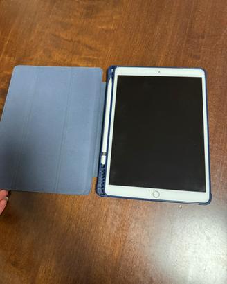 Ipad Apple 2020 + Apple pencil 1’ generazione