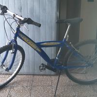 bici per ragazzi 