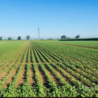 Azienda a seminativo irrigua