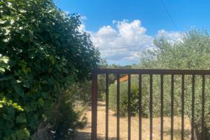 Costa Paloni terreno con rustico 5 Km dal mare