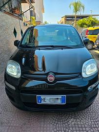 Fiat panda hybrid 