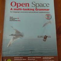Open Space a multi-tasking Grammar - 9788841643549