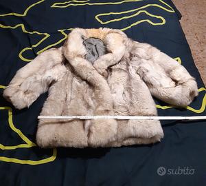 Stupenda pelliccia bianca volpe della groenlandia