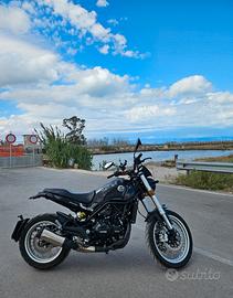 benelli leoncino 500 trail 