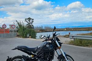 benelli leoncino 500 trail 