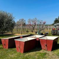 Cassoni porta frutta