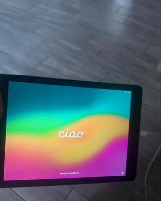 iPad Apple