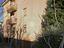 Immagine 15
