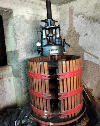 Torchio uva