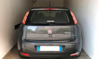 Fiat Punto Evo 95cv Neopatentati