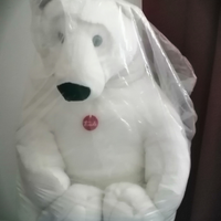 Orso trudy coca cola