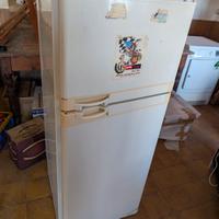 frigo