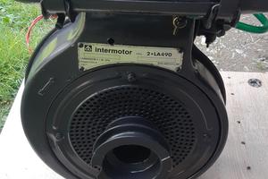 Motore Intermotor LA 490 by lombardini. 