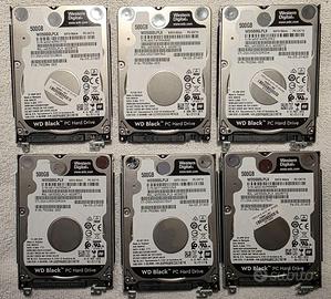 n.6 HardDisk 2.5" 500GB Western Digital WD Black