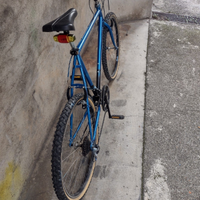Mountain bike