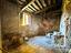 Immagine 12