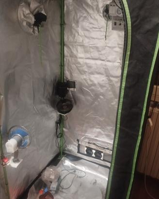 grow box 80x80x180