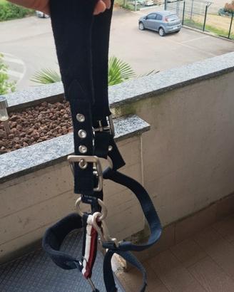 Capezza kingsland cob cavallo piccolo